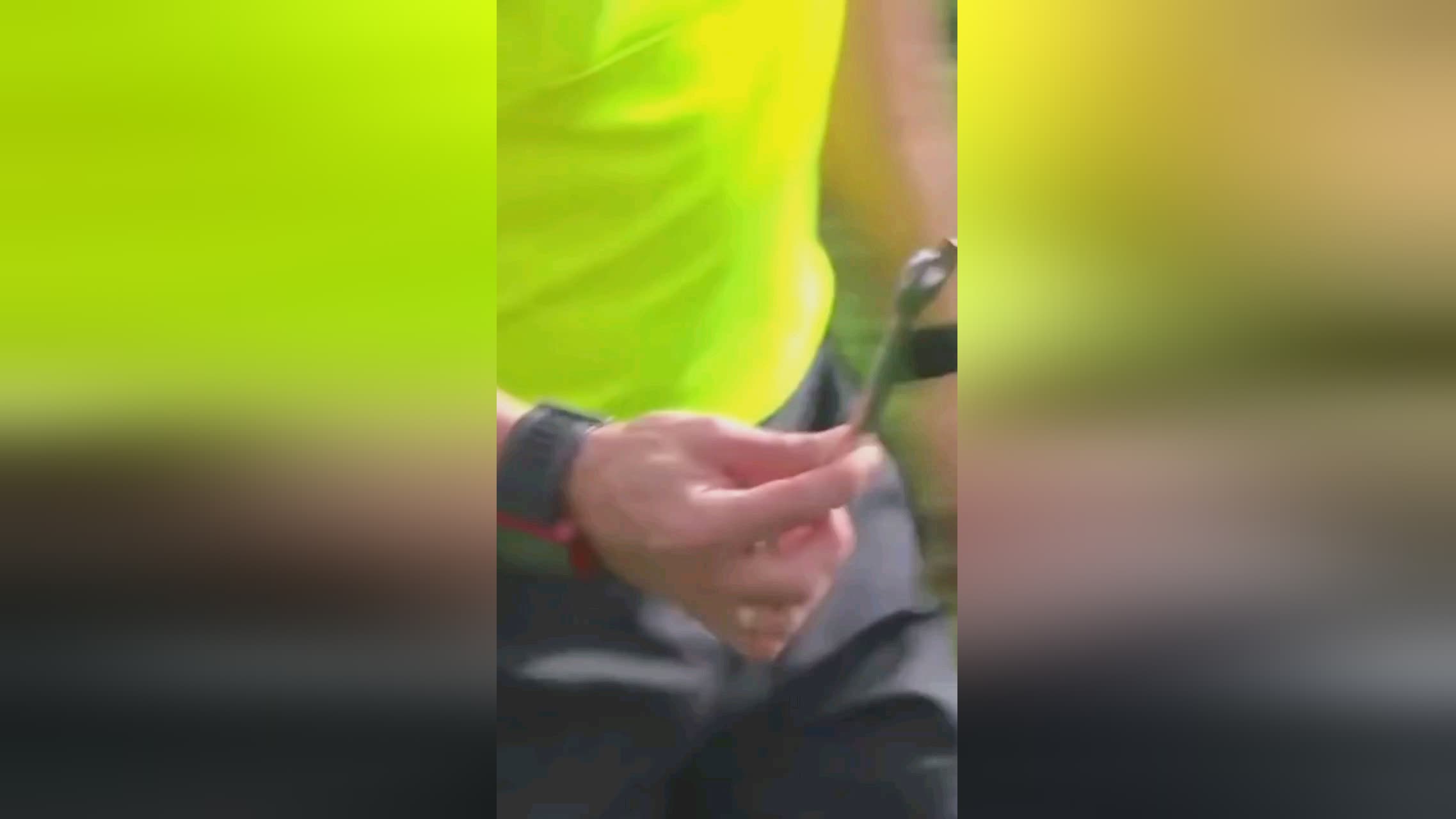 析孙颖
